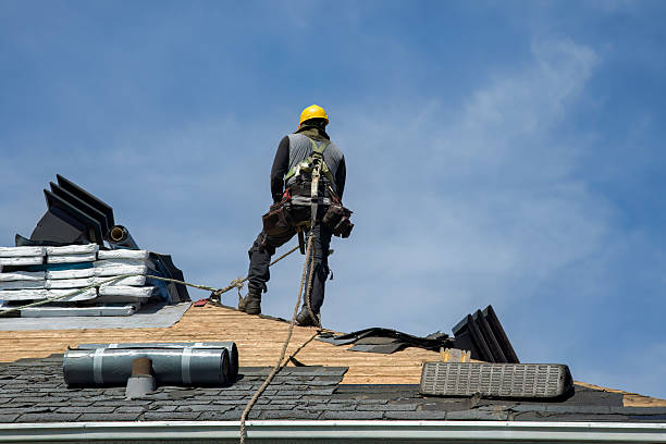 Professional Gutter Installation technician working in Buena Vista, TN